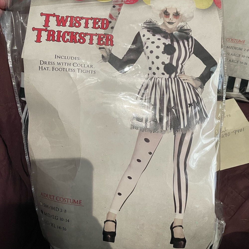 Clown costume (twisted trickster)